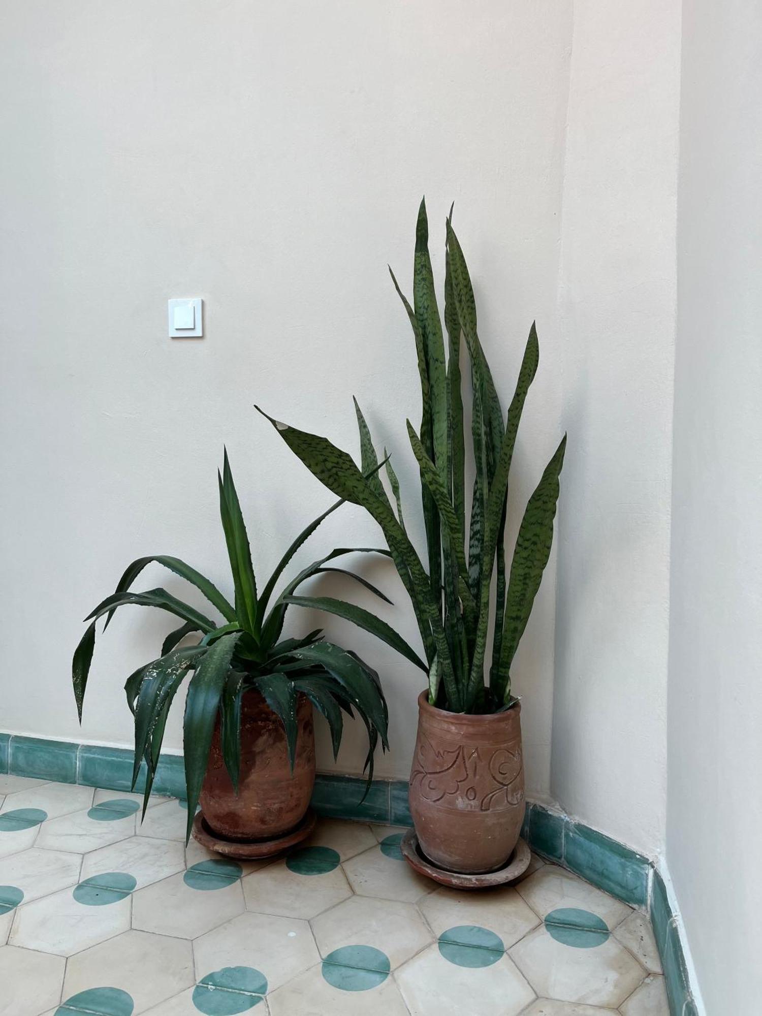 Riad Imndi Marraquexe Exterior foto